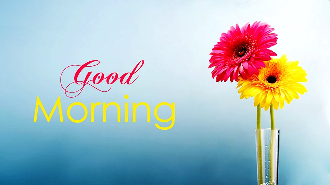 Good morning