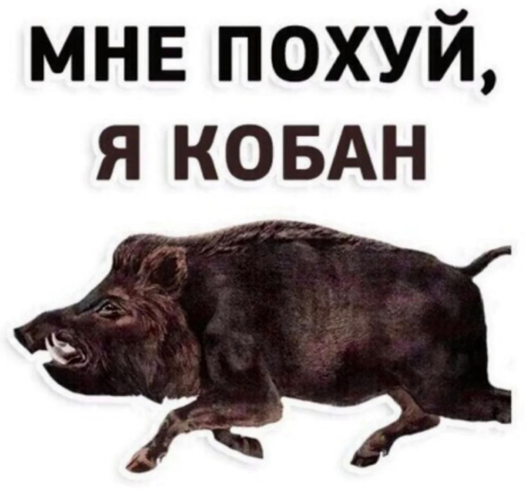 Иван кабан