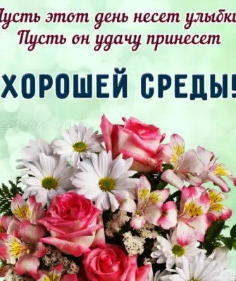 Хорошей среды