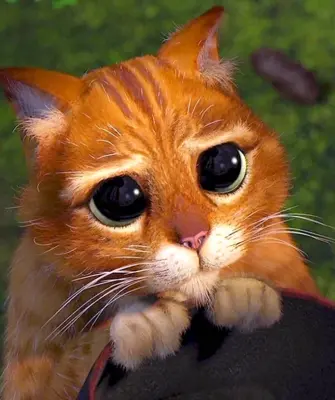 Кот Шрек