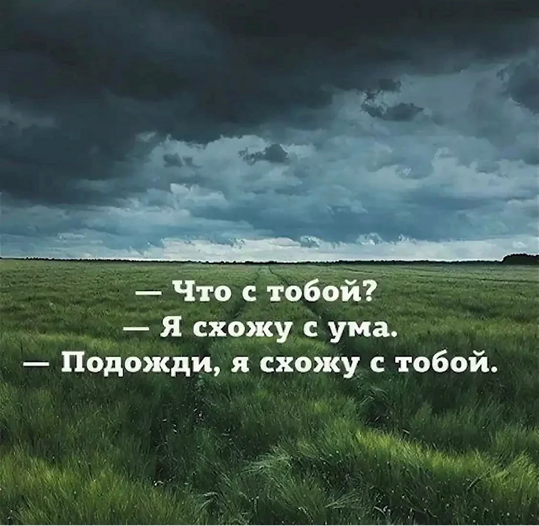 Красивые цитаты