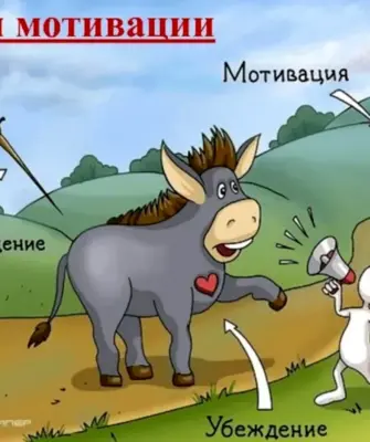 Мотивация юмор