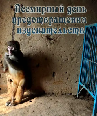 Обезьяна преступник