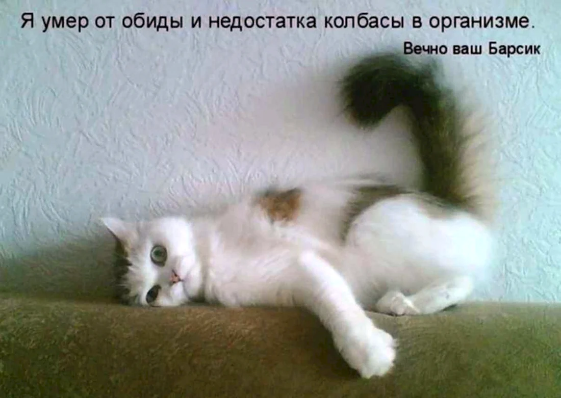 Обида прикол
