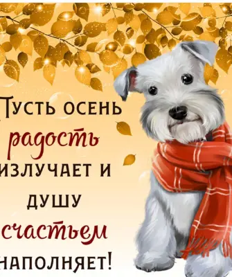 Осенние пожелания