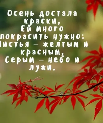 Осенние цитаты