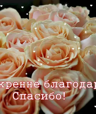 Открытка букет