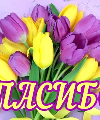Открытка спасибо