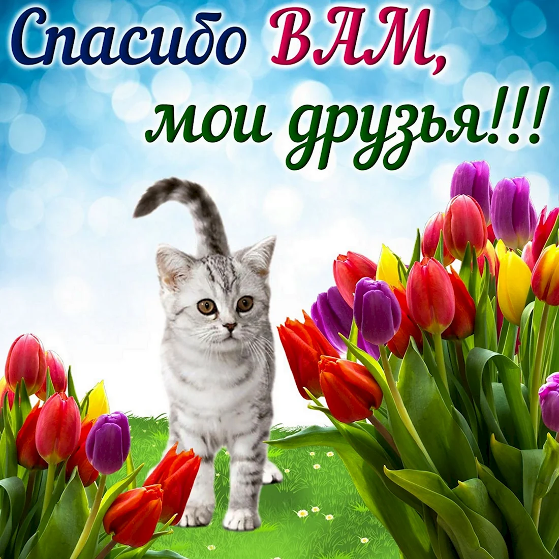 Открытка спасибо