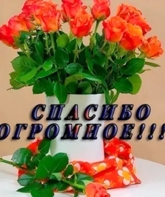Открытки с благодарностью