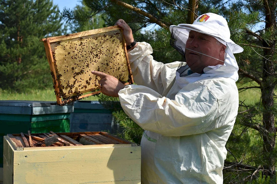 Пасечник