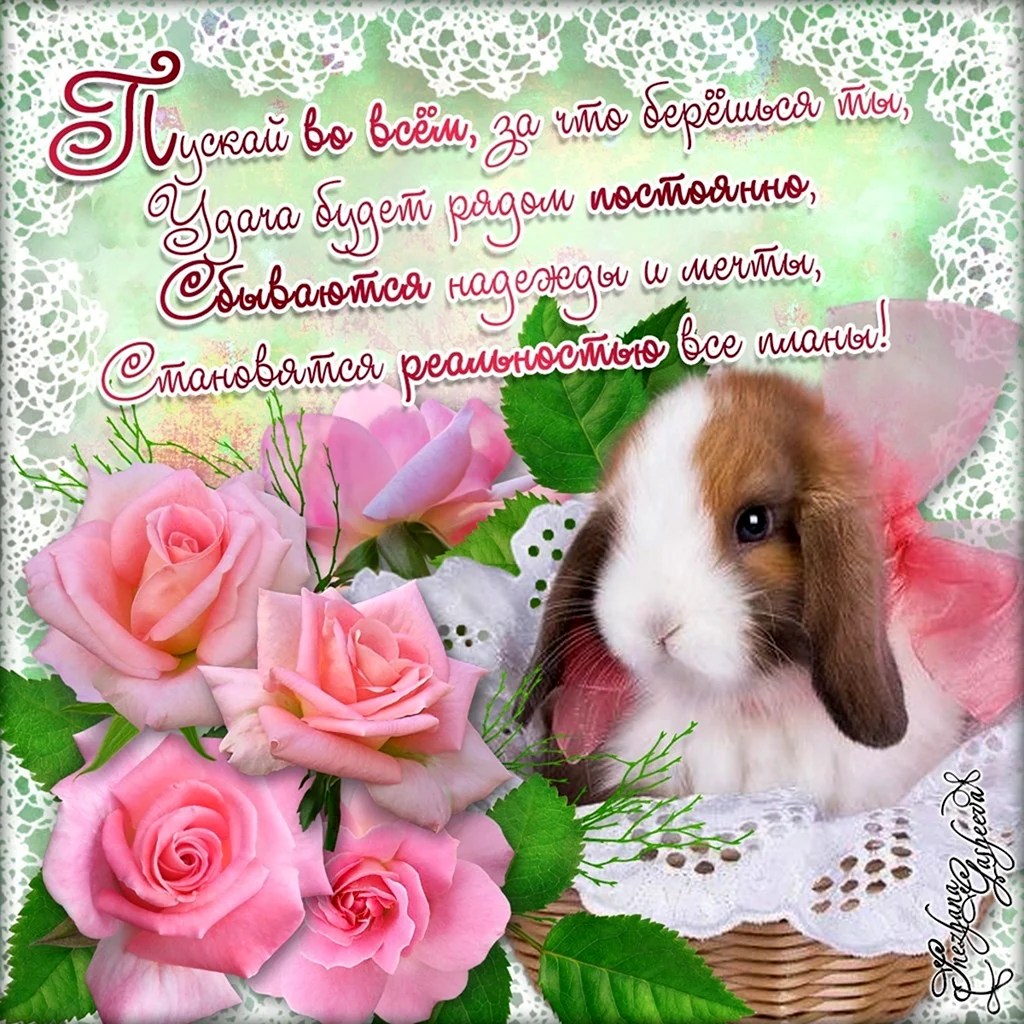 Пожелания с кроликом