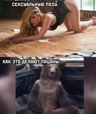 Приколы картинки с надписями