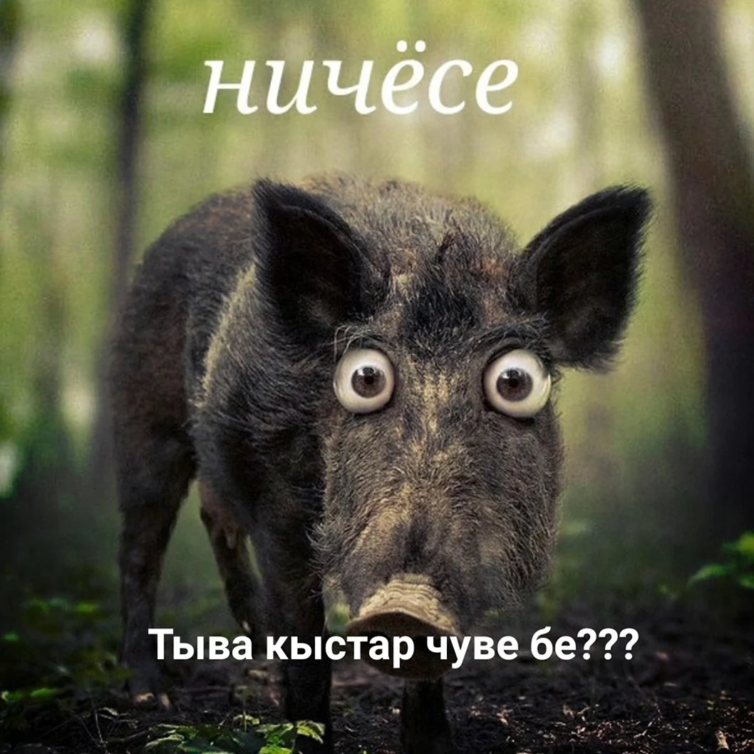 Приколы про понедельник и работу в картинках