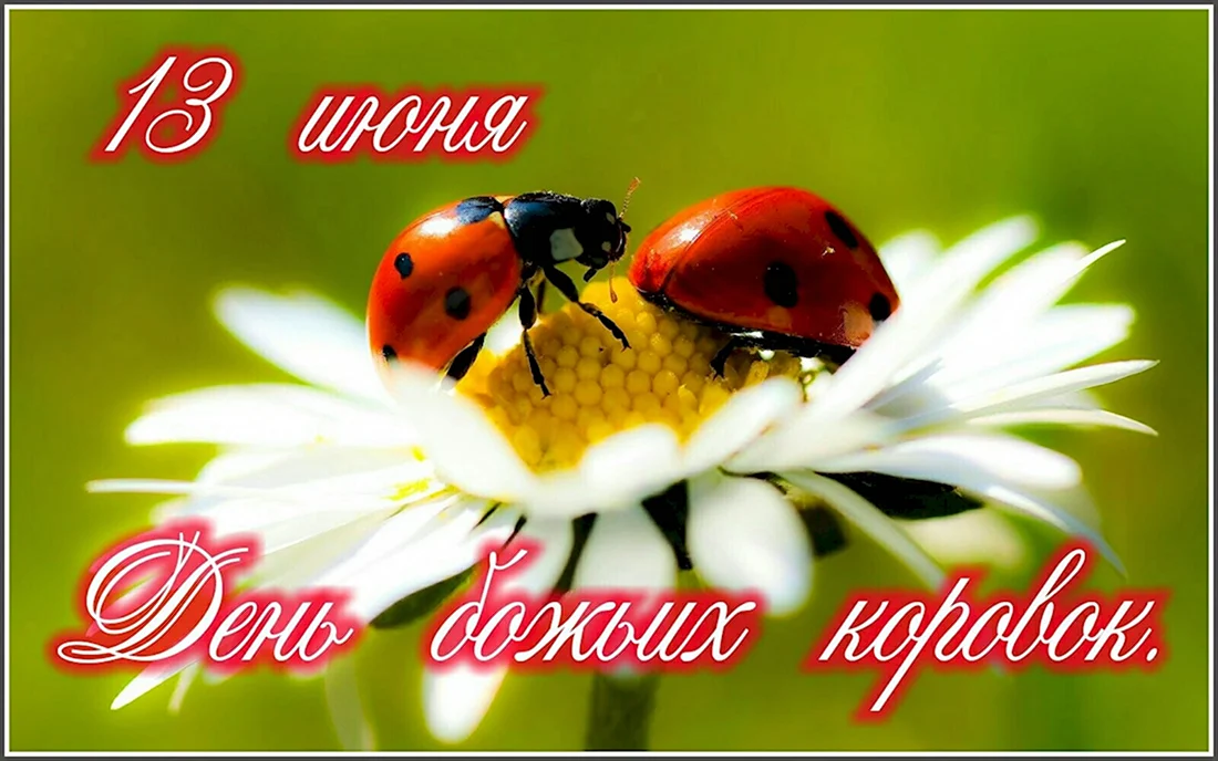 С днем рождения подруга открытка с Божьей коровкой детства душевные