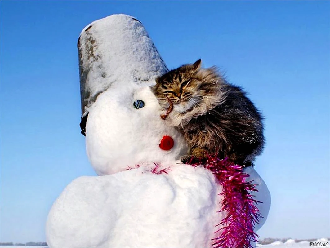 С последним днем зимы