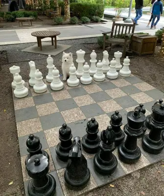 Шах ферзем
