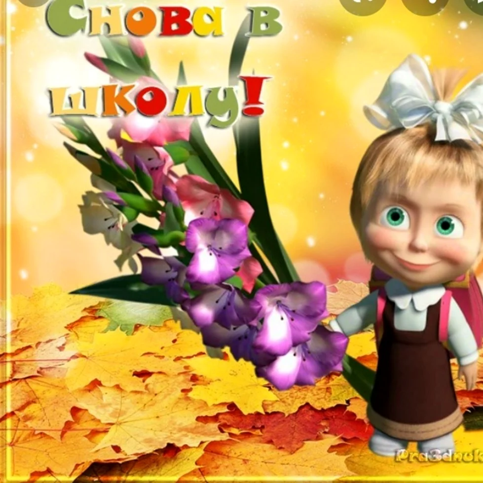 Снова в школу