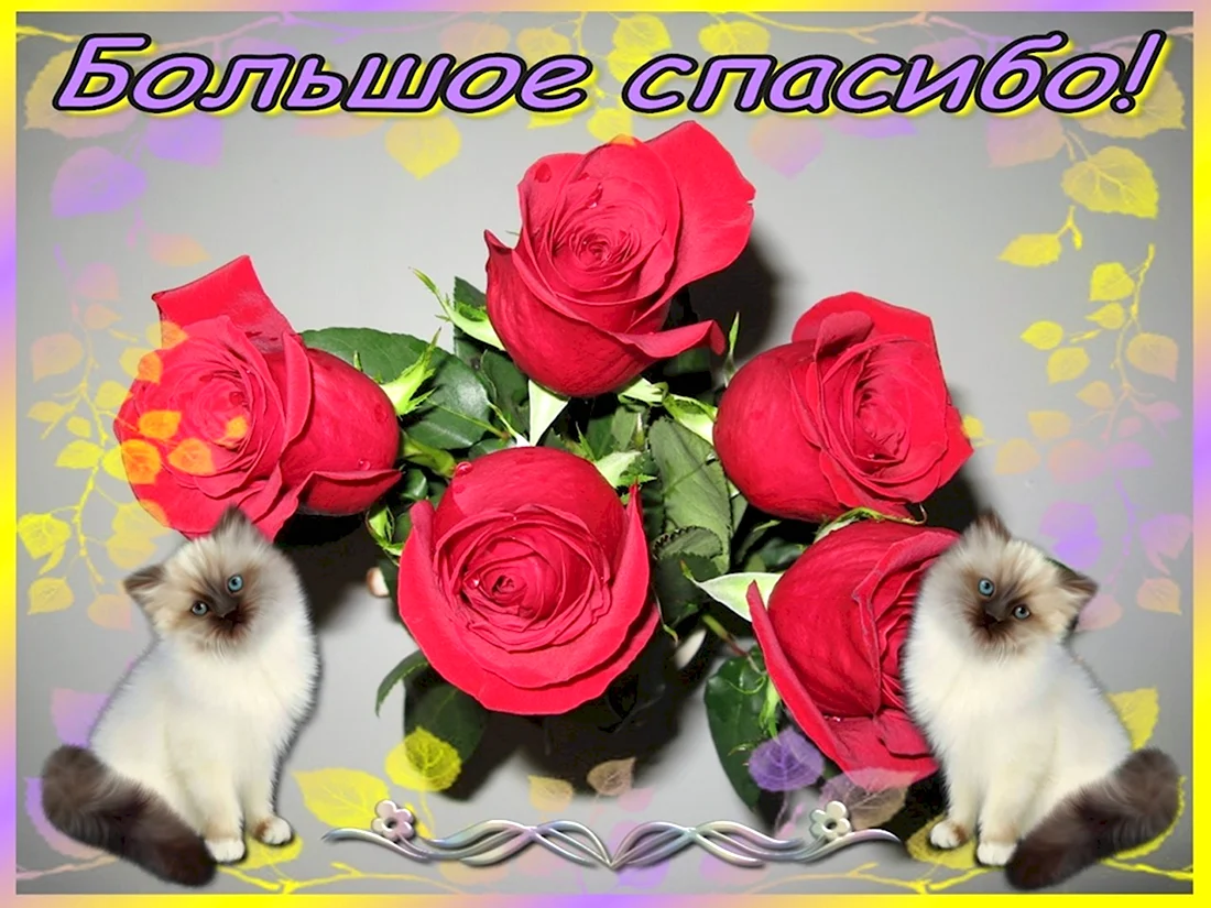 Спасибо большое