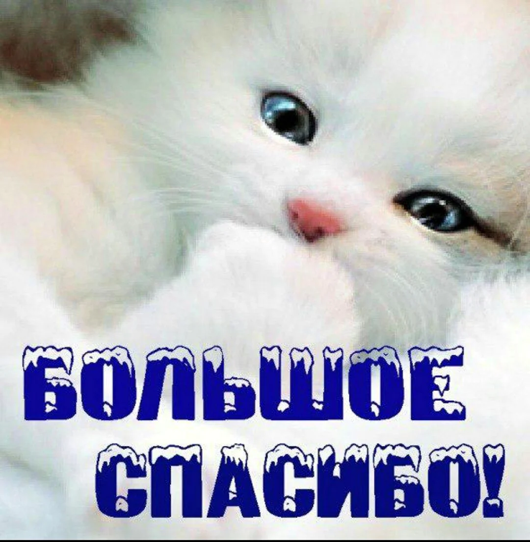 Спасибо большое