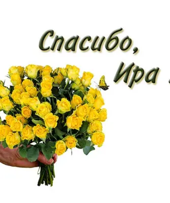 Спасибо Ира