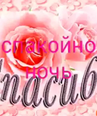 Спасибо картинки