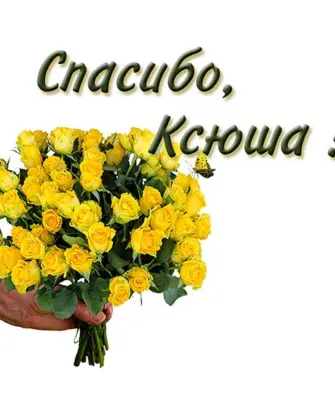 Спасибо Ленок