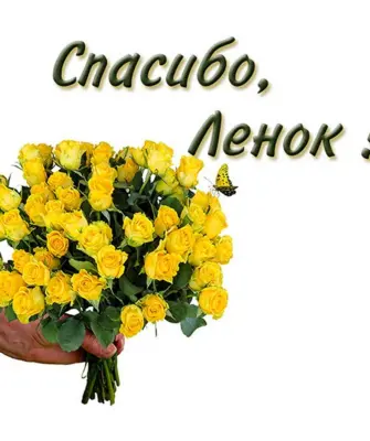Спасибо Ленок