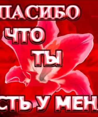 Спасибо любимый