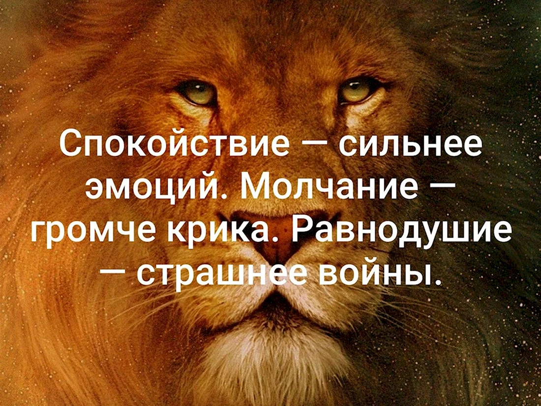 Спокойствие сильнее эмоций