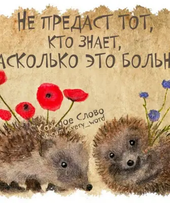 Статус с ежиком