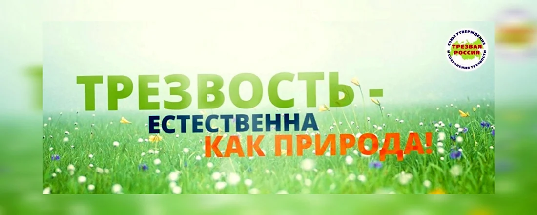 Трезвое лето