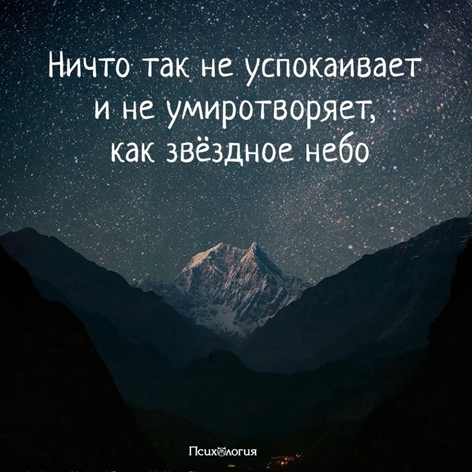 Цитаты