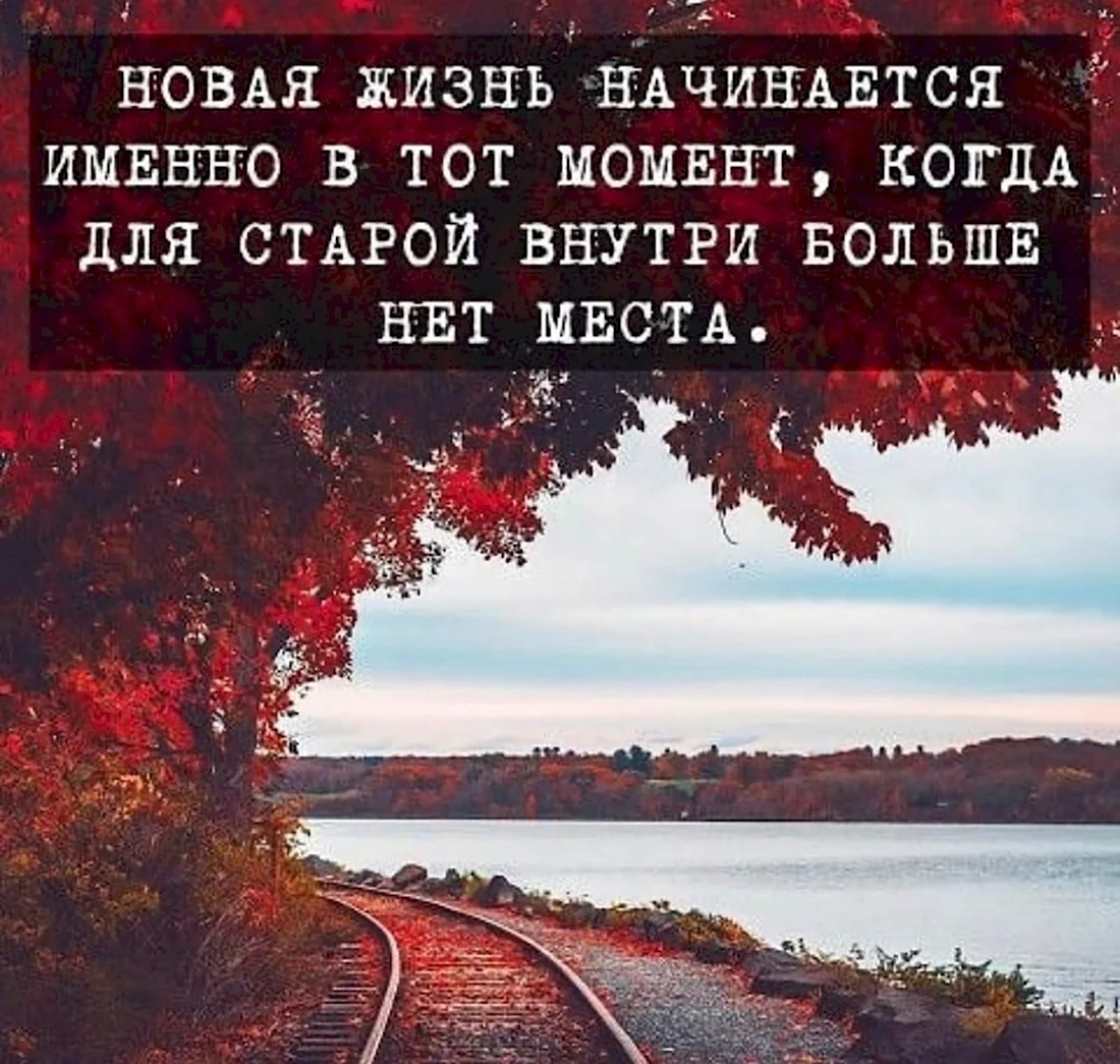 Цитаты