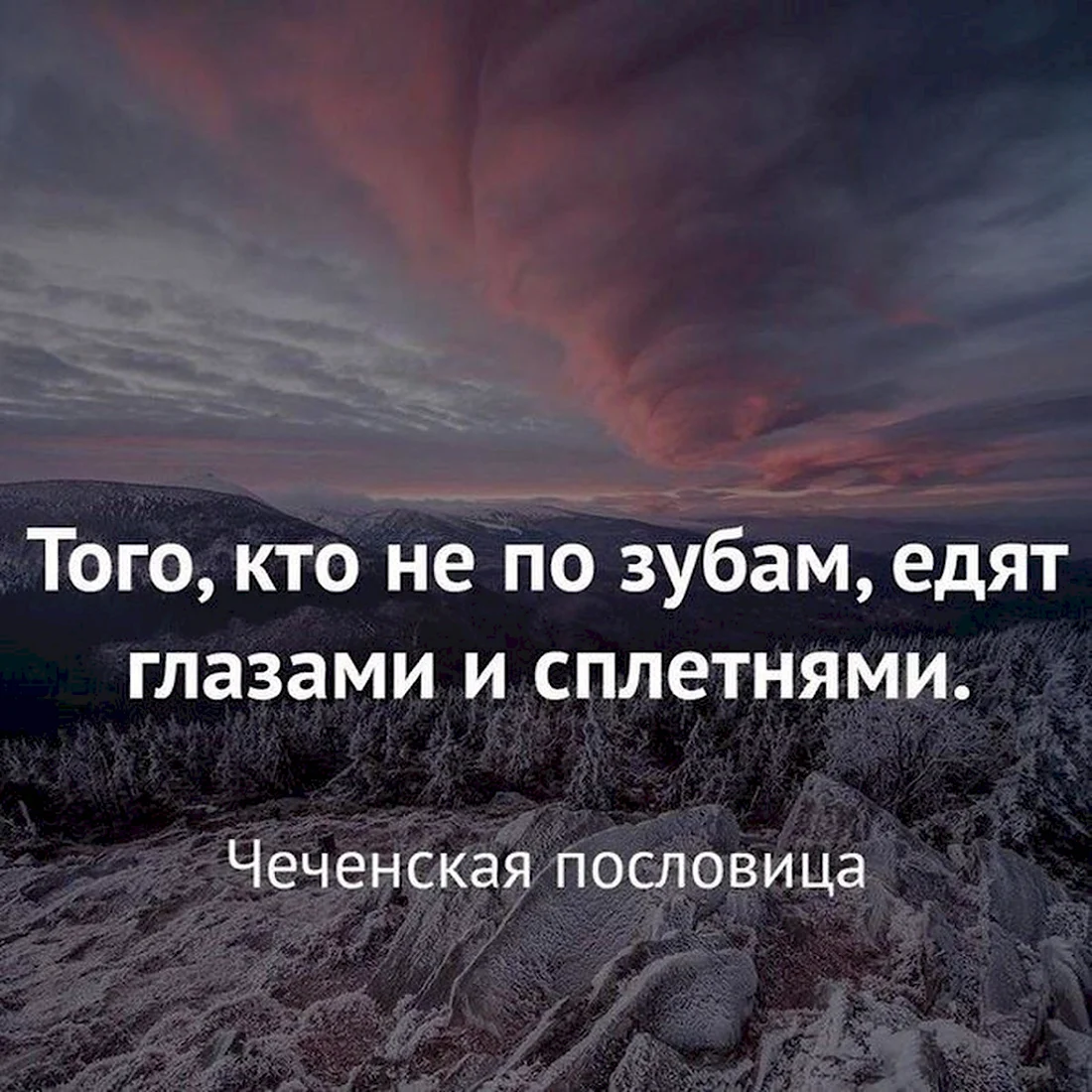 Цитаты со смыслом
