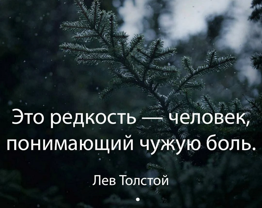 Цитаты со смыслом