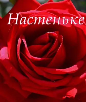 Цветы для Настеньки