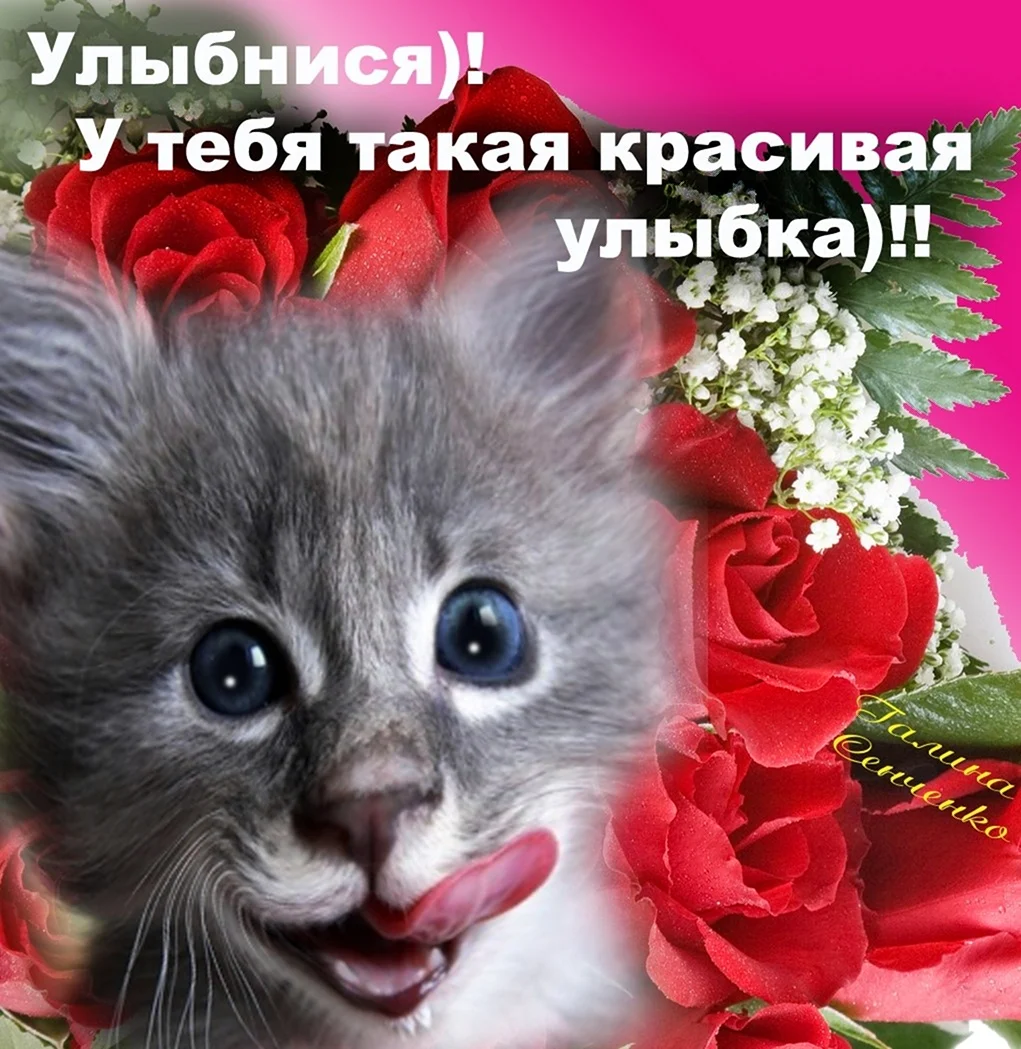 Улыбнись милая