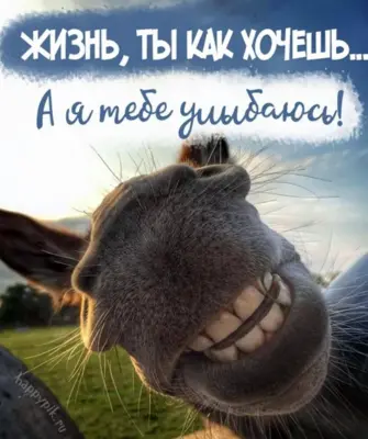 Улыбнись жизнь прекрасна
