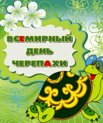 Всемирный день черепахи