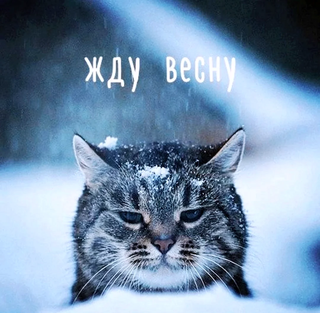 Жду весну