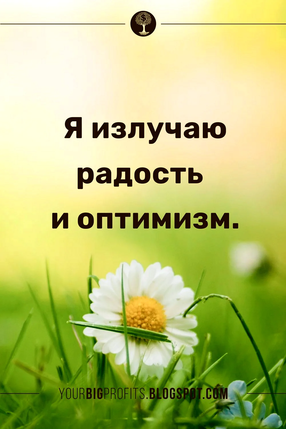 Позитивные аффирмации