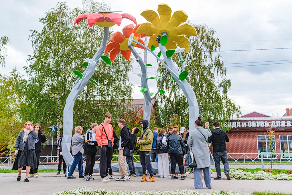 Арт объект Ромашка