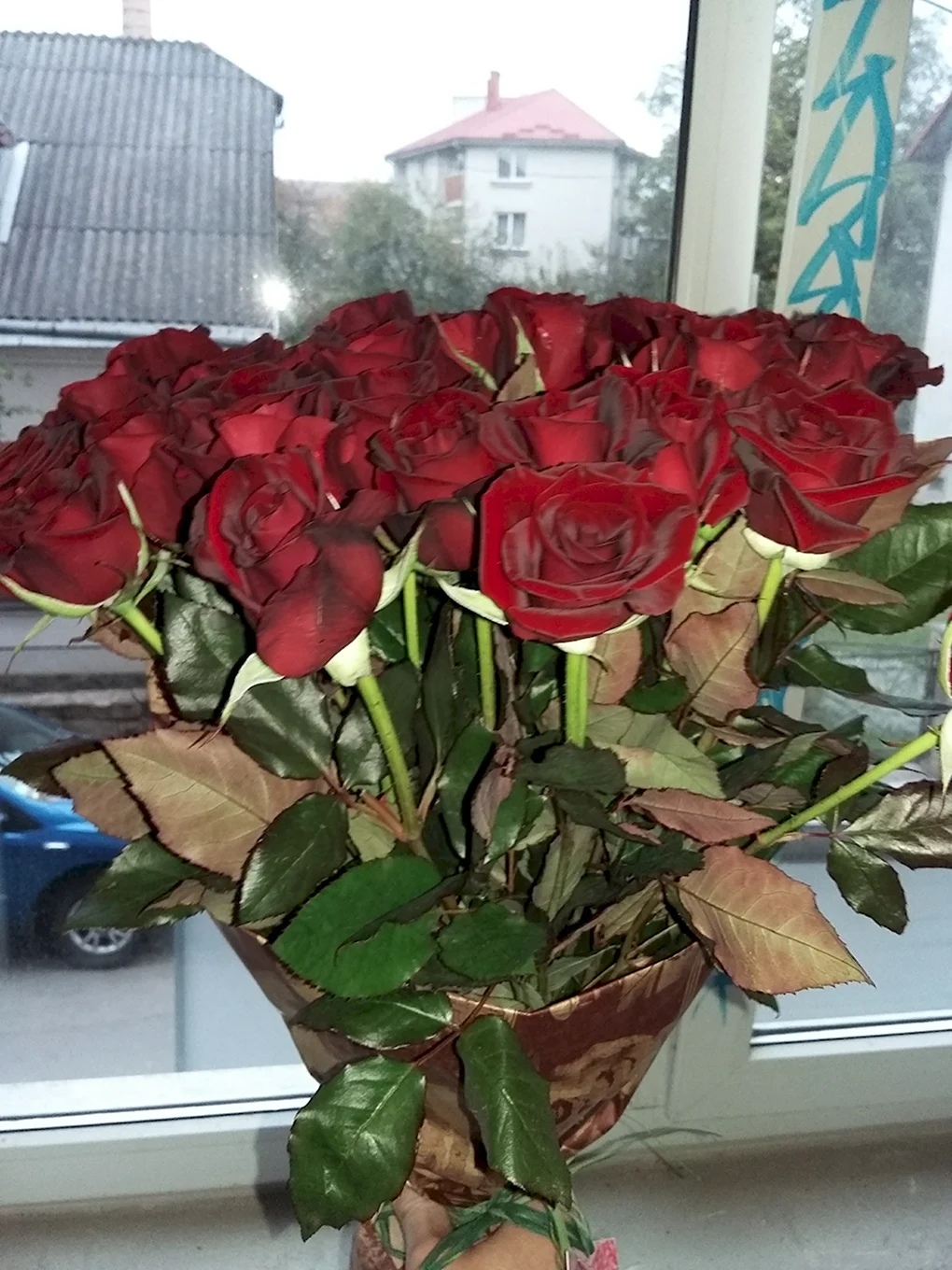 Букет цветов домашние