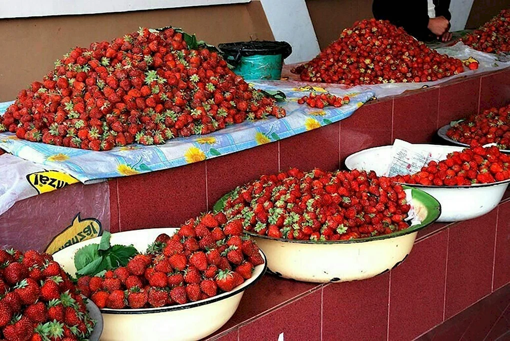 Бухара мевалар