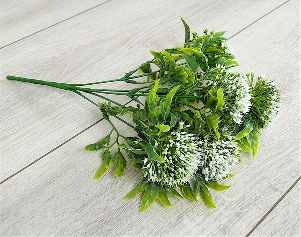 Чико зелень для букетов