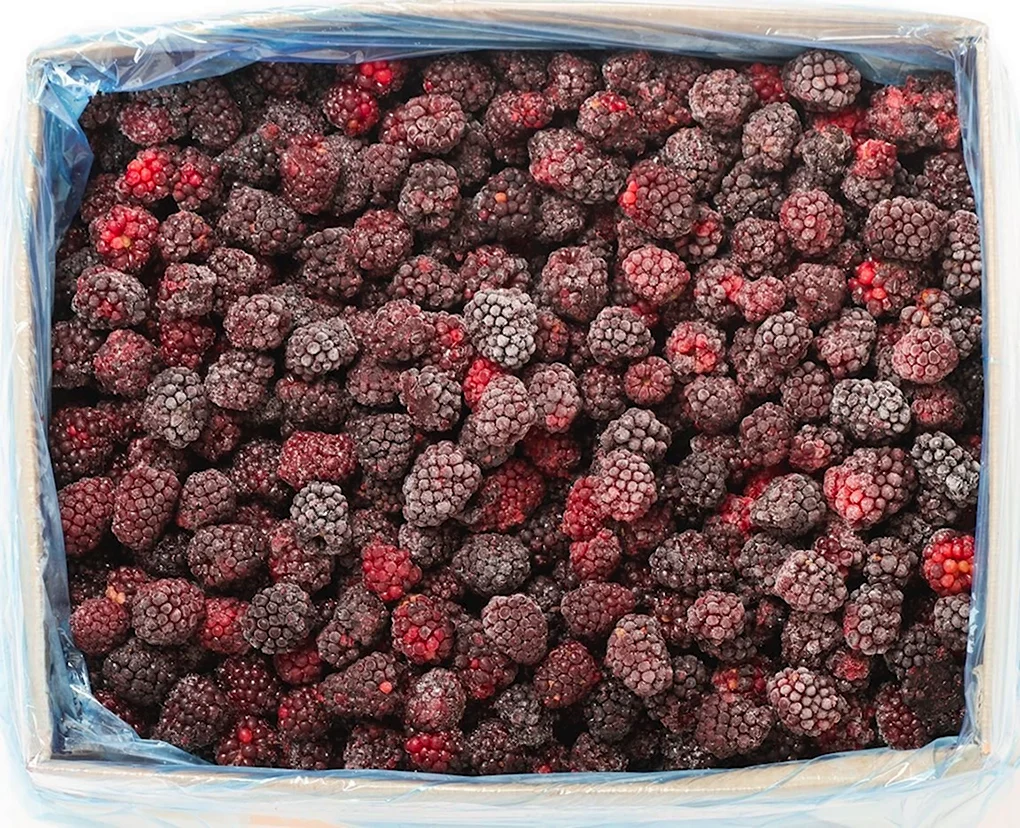 Ежевика Полар Берри