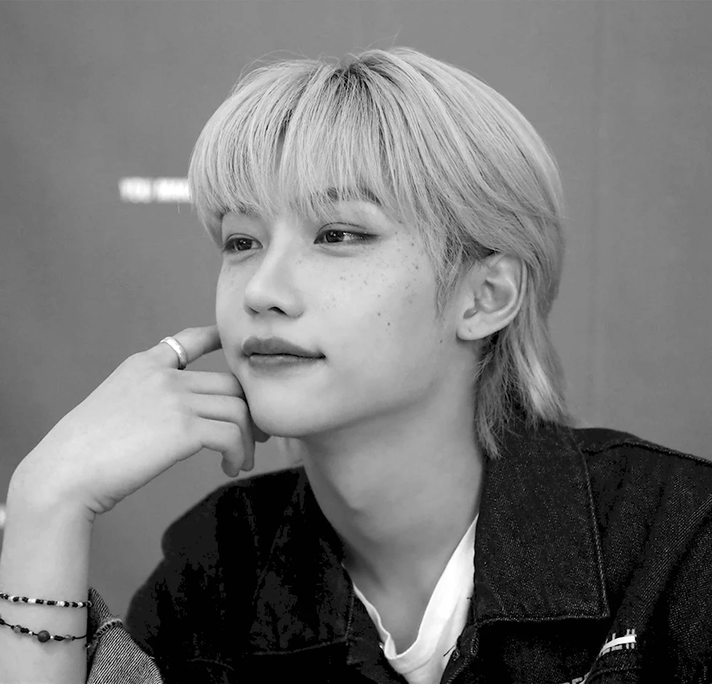 Феликс Stray Kids