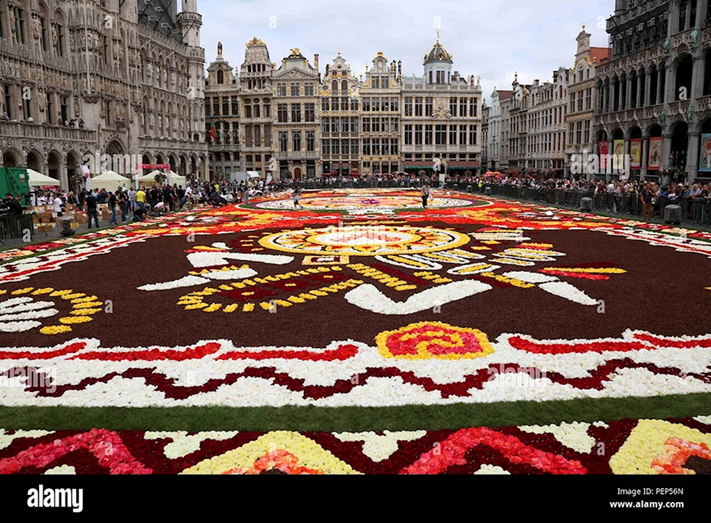 Фестиваль цветочный ковер Flower Carpet Брюссель Бельгия.