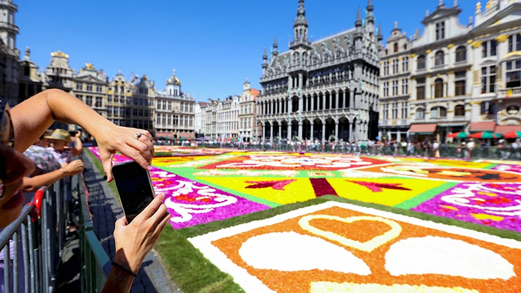 Фестиваль цветочный ковер Flower Carpet Брюссель Бельгия.